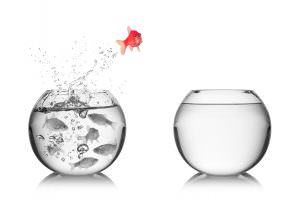 Selbstaendigkeit entscheidungshilfe