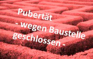 Werte in der Pubertaet