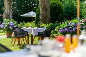 csm_hotel-rothof-hotelpark-fruehstueck-7449_6376ad0e06